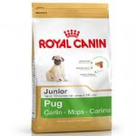 Royal Canin Pug 25 Pug Junior Yavru Kpek Mamas 1,5 Kg